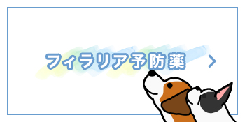 フィラリア予防薬