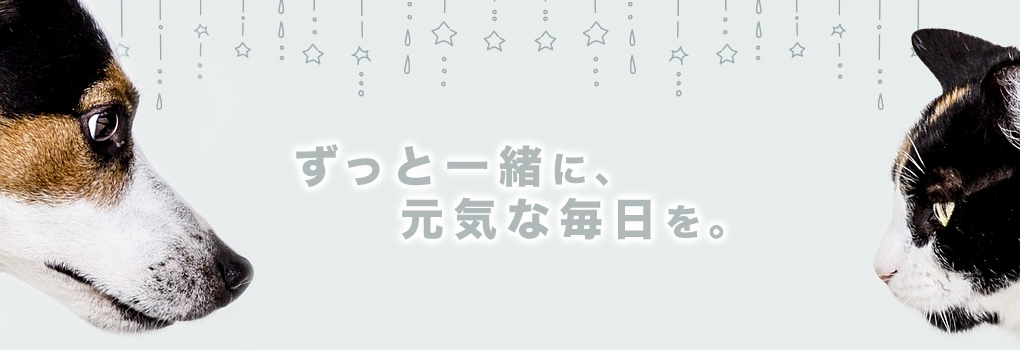 ずっと一緒に、元気な毎日を。