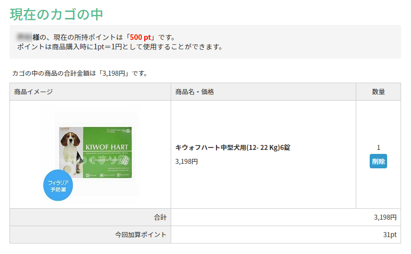 会員登録で500ポイントゲット