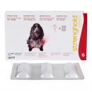 ストロングホールド中型犬用(10.1～20kg)120mg 1.0mlx6本