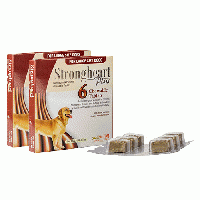【2箱】ストロングハートプラス大型犬用(23～45kg)12チュアブル