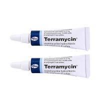 【2本】テラマイシン(TERRAMYCINE)軟膏5mg
