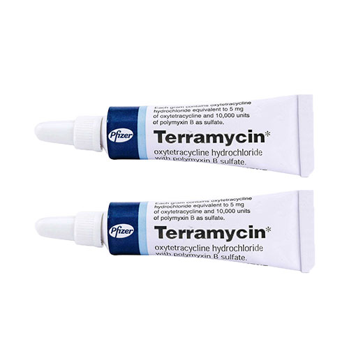 【2本】テラマイシン(TERRAMYCINE)軟膏5mg