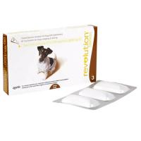レボリューション小型犬用 5～10kg/1箱3本入り
