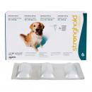 ストロングホールド大型犬用(20kg-40kg)240mg 2.0mlx6本