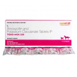 トキソモックス(Toxo-mox)250mg10錠