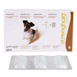 ストロングホールド小型犬用(5.1~10kg)60mg 0.50ml x6本