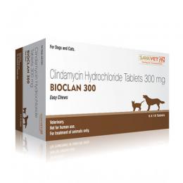 バイオクランチュアブル犬猫用300mg60錠