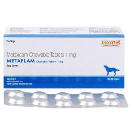 メタフラムチュアブル犬用1mg 100錠