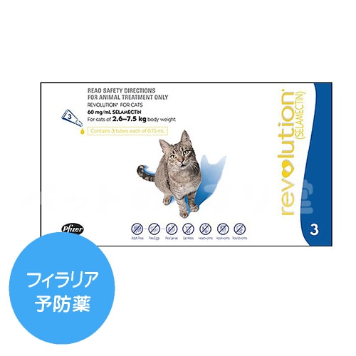 レボリューション