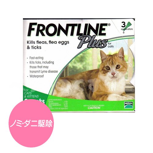 フロントライン